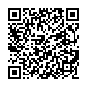 陈爱萍也尽量迫使自己将丈夫的研究项目直白化二维码生成