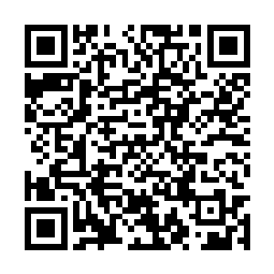 陈琳和庞籍两人拿着一卷厚厚的卷轴在仔细的观瞧二维码生成