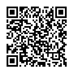 陈琴终于收拾好了老夫人的换洗衣服等赶了过来二维码生成