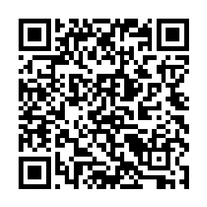 陈登以及一干下邳文武以及世家人不知何时赶了过来二维码生成