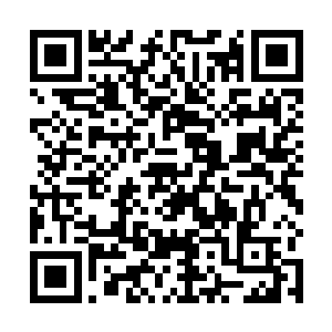 陈红伸出一根纤细的手指在卢向东的额头轻轻点了一下二维码生成