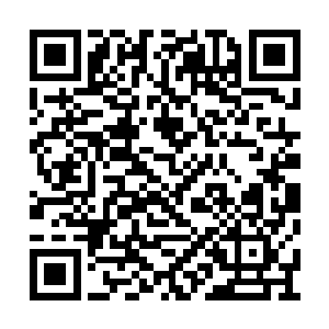 陈红和卢向东之间的交往只不过是一次投资而已二维码生成