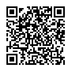 陈红展现给别人的更多是一种商界女强人的姿态二维码生成