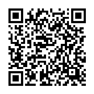 陈胖子拉着叶秋悄悄的埋伏在了港口的一处阴暗角落里二维码生成