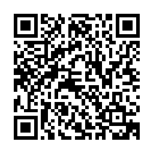 陈观不愿意在除了纽约大学以外的其它地方留下自己的影像资料二维码生成