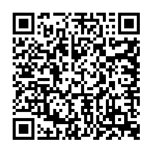 陈观如果不是毕业后分到了最偏僻的明水县桐花镇派出所的那个实习民警二维码生成