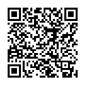 陈观家的院子大小和村里其他人家的院子是一模一样的二维码生成