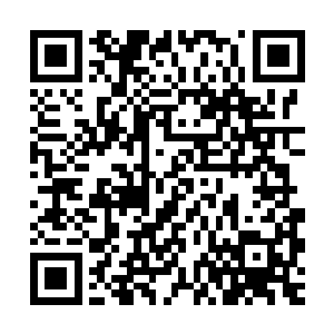 陈观帮五龙峪旅游开发股份有限公司总经理林凡的妻子调动工作二维码生成