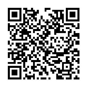 陈观才知道这四合院已经不是传统意义的四合院了二维码生成