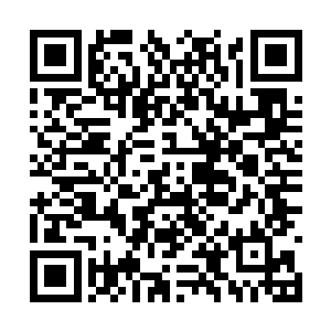 陈观早就感觉到苍生印的某些期望他是无法实现的二维码生成