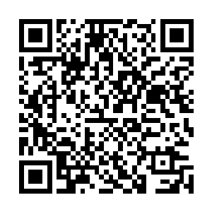 陈观说他没考虑过和建委系统三个市建公司中止合同的事儿二维码生成