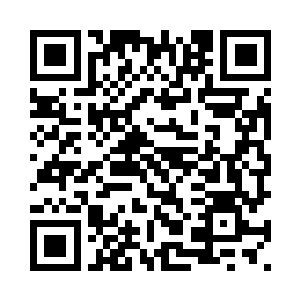 陈观负责信息通报和组织上路巡查二维码生成