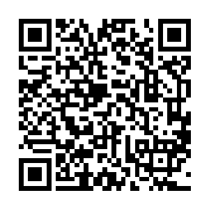 陈诚不过是一个上个月才第一次在直播界露脸的新人而已二维码生成