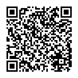 陈诚之前在赛场上的优异表现已经引起了众多其他战队选手的注意和警惕二维码生成