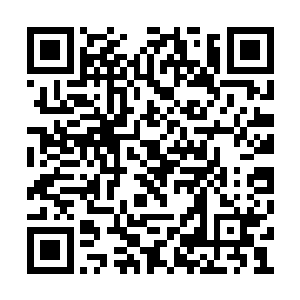 陈诚也并不是第一次碰到像这把瑞兹一样的坑比二维码生成