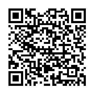 陈诚加上一个炸弹人也很难打得过蝎子+妖姬这个组合二维码生成