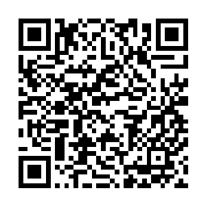 陈诚却是第一个也是俱乐部唯一一个打上了韩服王者的队员二维码生成