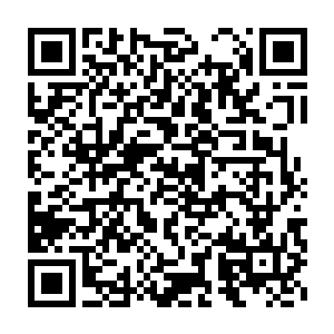 陈诚和皮野绫俩人对于这只开了大招的凶悍鳄鱼也没有太好的办法二维码生成
