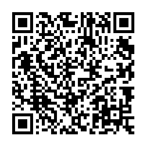 陈诚回到基地所做的第一件事情便是点开了自己在战旗tv的直播房间二维码生成