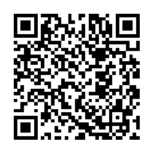 陈诚回家不过补充了一个400的红水晶和一个400的蓝水晶二维码生成