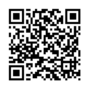 陈诚在到6以后并没有直接去抓厂长的狮子狗二维码生成