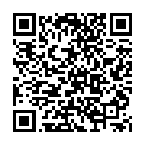 陈诚并不习惯把自己的第一视角呈现在别人面前二维码生成