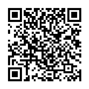 陈诚当然不会傻到为了一个虚衔去跟自己的队友闹矛盾二维码生成
