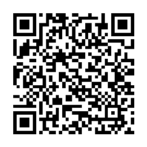 陈诚所在的lcd战队继前次击败w1a以后又拿下了一个2比0二维码生成