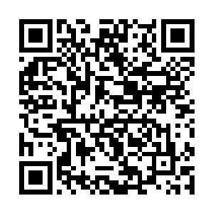 陈诚的对线能力纵使再弱也绝不可能比别人差这么多二维码生成