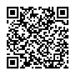 陈诚的特殊天赋造成了他根本就不太需要线上优势二维码生成