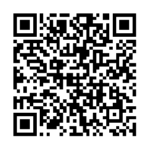 陈诚看到了正在与一个童颜萝莉卿卿我我的皮野绫二维码生成