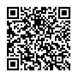 陈诚还不得不给了此时最为关键也是状态最差的淘宝拳一个大招二维码生成