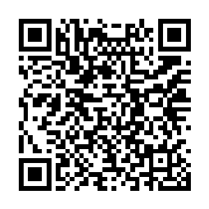 陈远征显然也没想过能从颜雨惜这里得到什么答案二维码生成