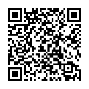 陈长生不想听轩辕破站在大榕树上狂喊什么京都不是我的家二维码生成
