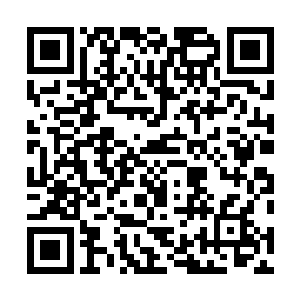 陈长生与盲琴师的剑意与琴音已经把这片夜色来回了数遍二维码生成