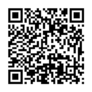 陈长生十岁之后便一直承受着死亡的阴影艰难前行二维码生成