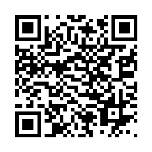 陈长生听到过太多次自己命好的评价二维码生成