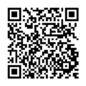 陈长生忽然觉得身体有些寒冷――此人的实力修为太过深不可测二维码生成