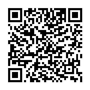 陈长生总觉得在她的脸上看到了一抹清秋的凉意二维码生成