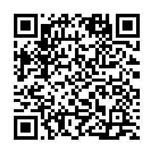 陈长生望向天道院教谕身旁那名穿着教袍的中年男子二维码生成