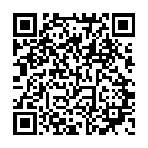陈长生这个家伙上辈子肯定拯救了整个人类世界二维码生成