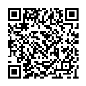 陌怀桑在最后一刻帮江寻梦挡住了大部分冲击力二维码生成