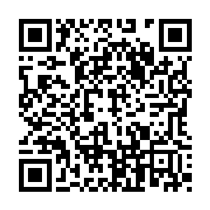陛陛陛……陛下……微臣……微臣……愧不敢当二维码生成