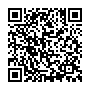 陡然只见连道雷霆皆朝着一座黑压压的山林顶上二维码生成