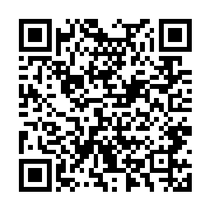 陡然间一道恐怖的气势从天殇仙帝的身上释放出来二维码生成