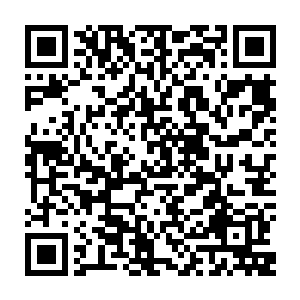 院子里一下就只剩下小福和小豹子的大叫欢笑声和小安宝珠的拍掌加油声二维码生成