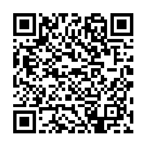 院子里剩余的保镖一个个噤若寒蝉模样垂着脑袋保持沉默二维码生成