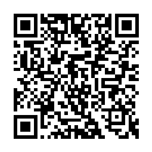 院子里响起了熟悉的富有磁性的鹤鸣一样叫骂声二维码生成