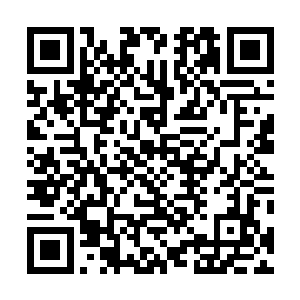 院子里已经被洛天子下令购买了很多大型的娱乐设备回来二维码生成