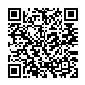 院子门外的小丫头们纷纷拿着帖子跑回各位主子面前二维码生成